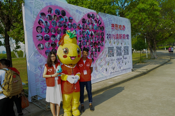 20160824210211313890.jpg DSC_8050.jpg